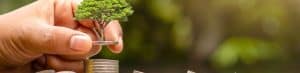 Sustainability of Investments
